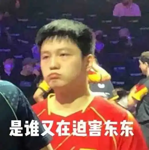 樊振东我不搞这个是什么梗表情包今日头条