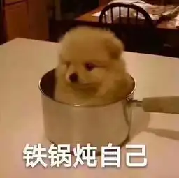 叶薇照片叶薇相册大全yy官方