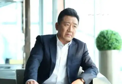 丁勇岱老婆赵雪华近照