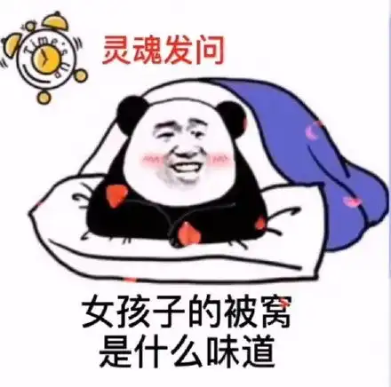 钻被窝表情包图片