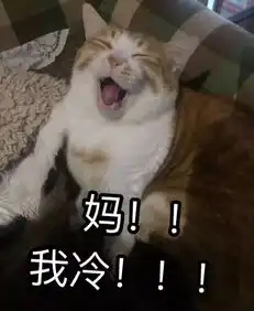 吃喝玩乐享不停给你一个老妈不嫌弃你的理由