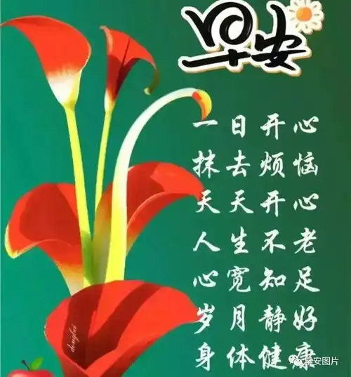 晚上好问候表情包,愿你健康快乐好梦连连