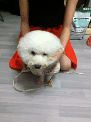 爆笑gif有了这个锁,我看谁还敢偷我的车