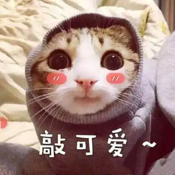 别忘了答应自己要做的事,比如这份书评