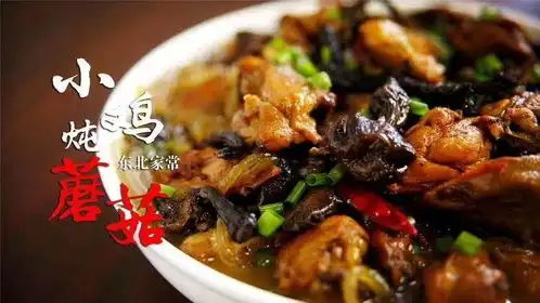 可以完美解释为啥游泳后特别想吃炸鸡,不是我好吃,是游泳太寒湿身体本能需要吃,哈哈哈