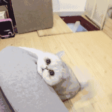 发男朋友巨污表情包动态