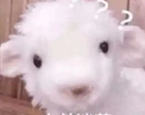 这对翻脸姐妹花,口碑浮沉的反转人生好唏嘘