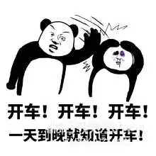 车速太快了,江直树竟然是个老司机....