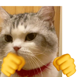 表情包动物打拳gif搞笑表情