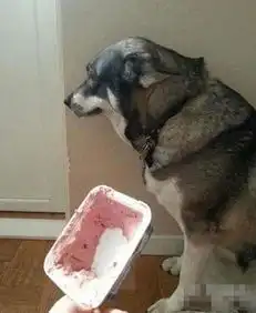 这么快,摄像师你这个月的奖金没了