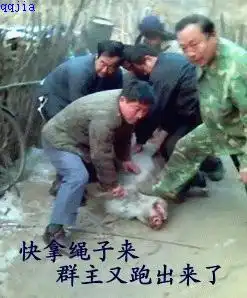 请问谁有搞笑的表情qq群啊推荐几个