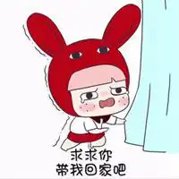 带我回家过年表情包微信头像图片大全