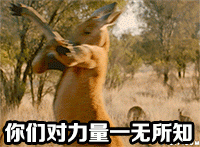 小期待表情包动态