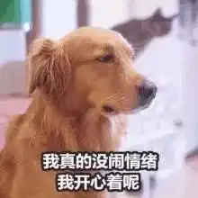 哈士奇柴犬搞笑表情包吵