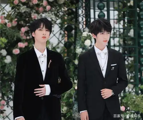 严浩翔贺峻霖的cp被公司明码标价,对两人称呼600万,令粉丝无语