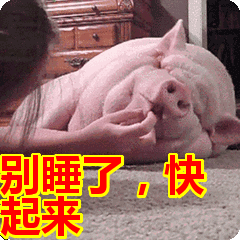 2月14日,你无恙,便是最好的礼物,有爱就可以战胜一切单身