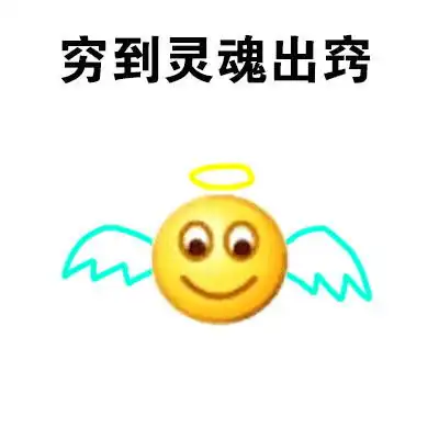 半科普文怎样才能靠谱地买到一只高品质的血统金毛