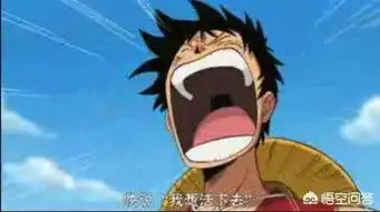 海贼王动漫有哪一些是必看的篇章