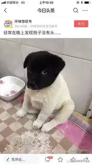 搞笑段子来了别人是通过什么知道你是哪里人的惊呆