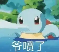 憨憨表情包杰尼龟系列