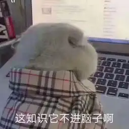 2019级机械新生生活指南之学习篇