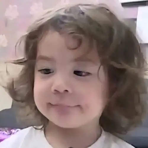 建厚小肥猪动图静图表情包壁纸第十八弹