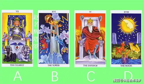 赵名辉塔罗占卜你能成功吗