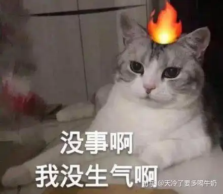 你有过和室友吵架后悔当时没揍一顿吗