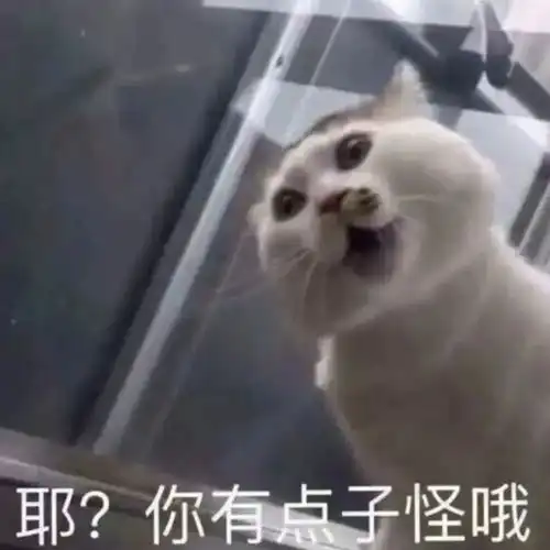 巧乐兹夫妇陈大事嘴硬见过脸皮最厚的网红了