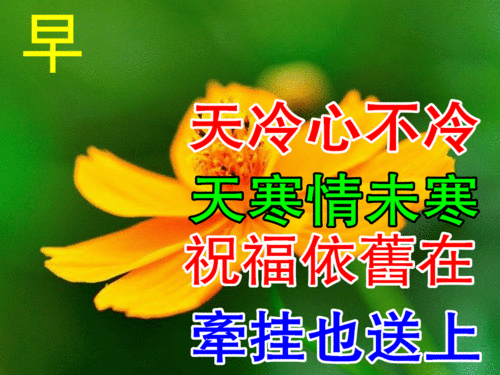 11月23日最新早上好动态表情图片大全,冬天清晨问候语句子