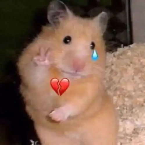 情人节千万别再说这些诗词啦,它们可与爱情无关