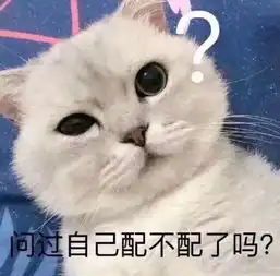 网红小胖妞表情包银狐