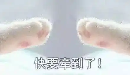 南充最哄人的21句话,最后一个看得我眼泪掉下来