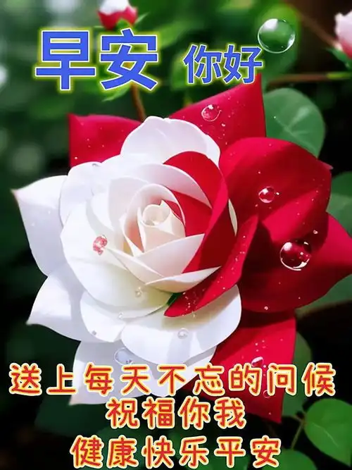2023年8月1日早安动态表情图片温馨问候祝福语