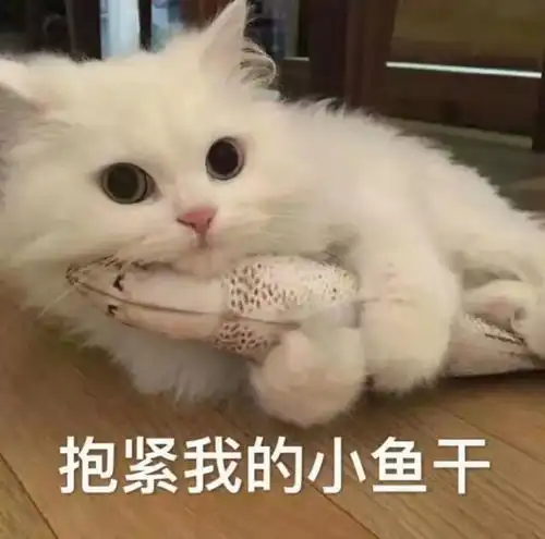 阿省商户吓得瑟瑟发抖获政府1050万赔偿的恐怖分子花巨资买下埃德蒙顿商场