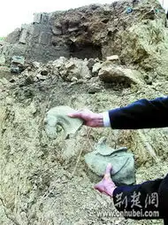 鄂州两座三国古墓被毁陶俑和陶马散落四处