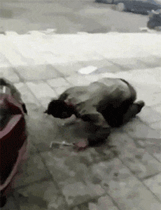 搞笑gif姑娘们半夜请我去喝酒,其实我内心是抗拒的