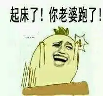 老婆跟别人跑了表情包