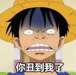 聊天不用海贼王表情包都去土下座