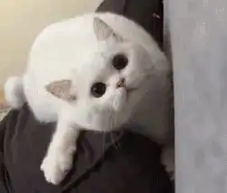 我要抱抱表情包表情