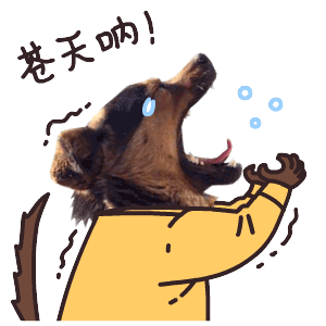 绵阳单身汪注意今年七夕我们要分配男女朋友你真的不来看看