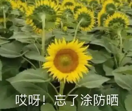 黑眼圈很重,用咖啡渣有奇效黑眼圈自救指南看这里