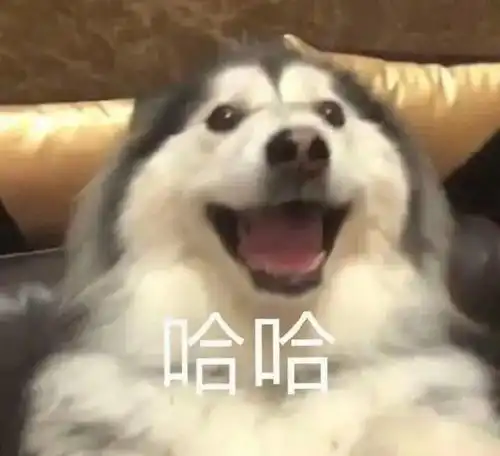 萌宠表情包就等你了