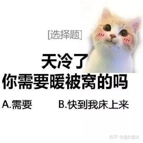 有哪些适合天气变冷的朋友圈文案