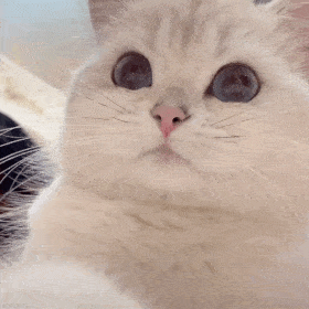 搞笑表情包拿来吧你