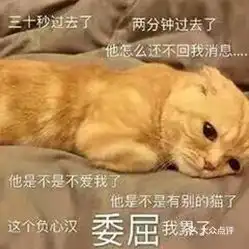 我只想发财表情包轮到我