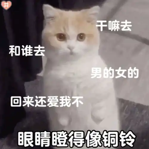 可以哄你家臭宝开心的表情包