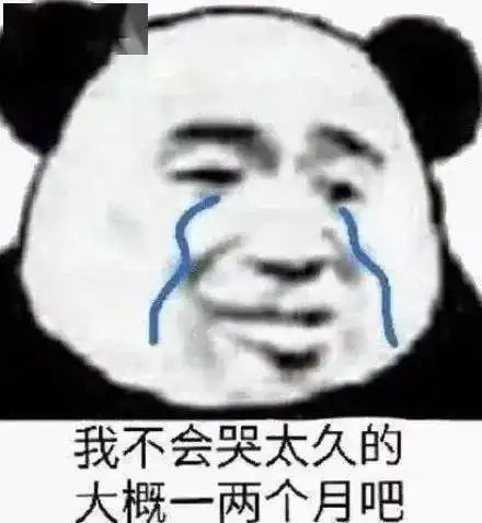 搞笑沙雕熊猫头表情包