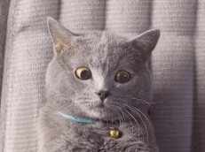 葫芦娃斗图动态表情包禁