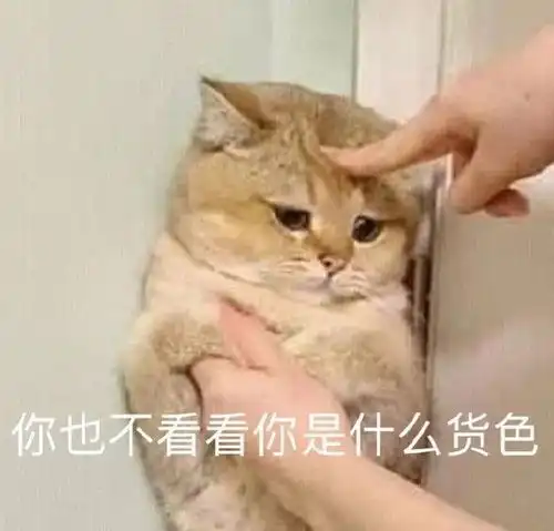 中午好表情包来了有个小鱼表情有点吓人